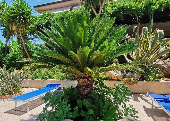 Brace Casa de Férias *