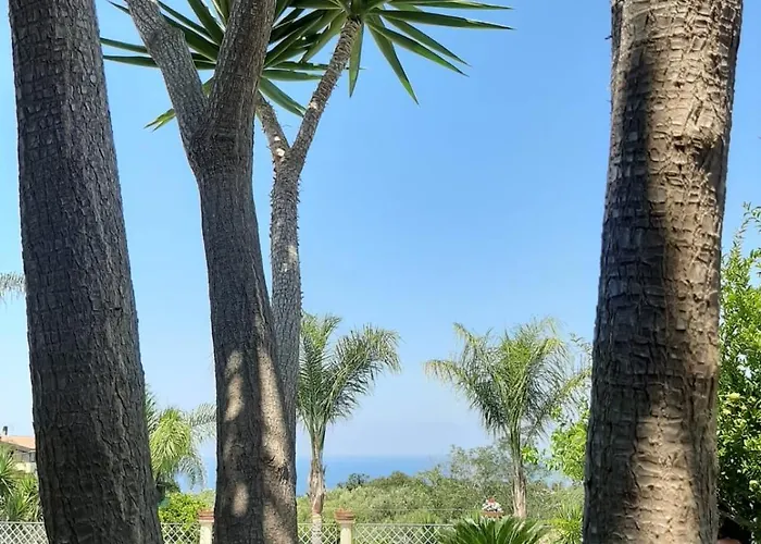 Brace Casa de Férias