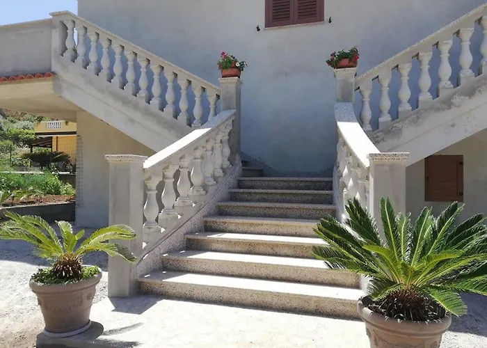 Brace סנטה דומניקה