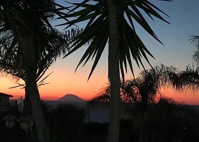 Brace * סנטה דומניקה