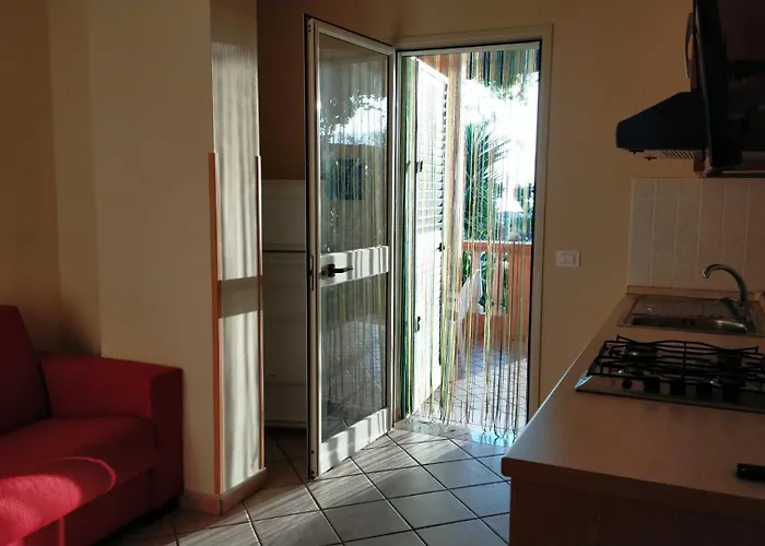 Brace סנטה דומניקה