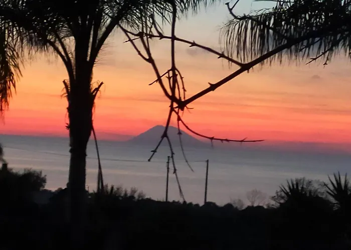 Brace סנטה דומניקה