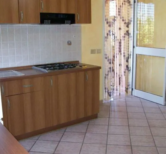 Brace * סנטה דומניקה