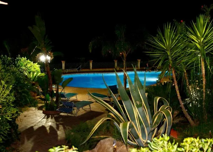 Brace * סנטה דומניקה